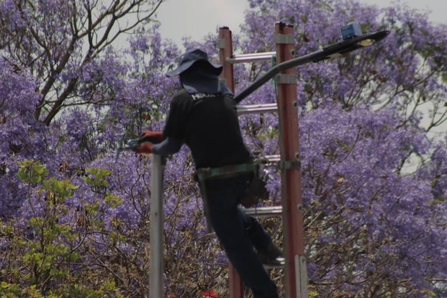 Continúa el remplazo de lámparas del alumbrado público en la capital 