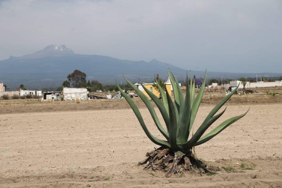 Paisajes tlaxcaltecas 