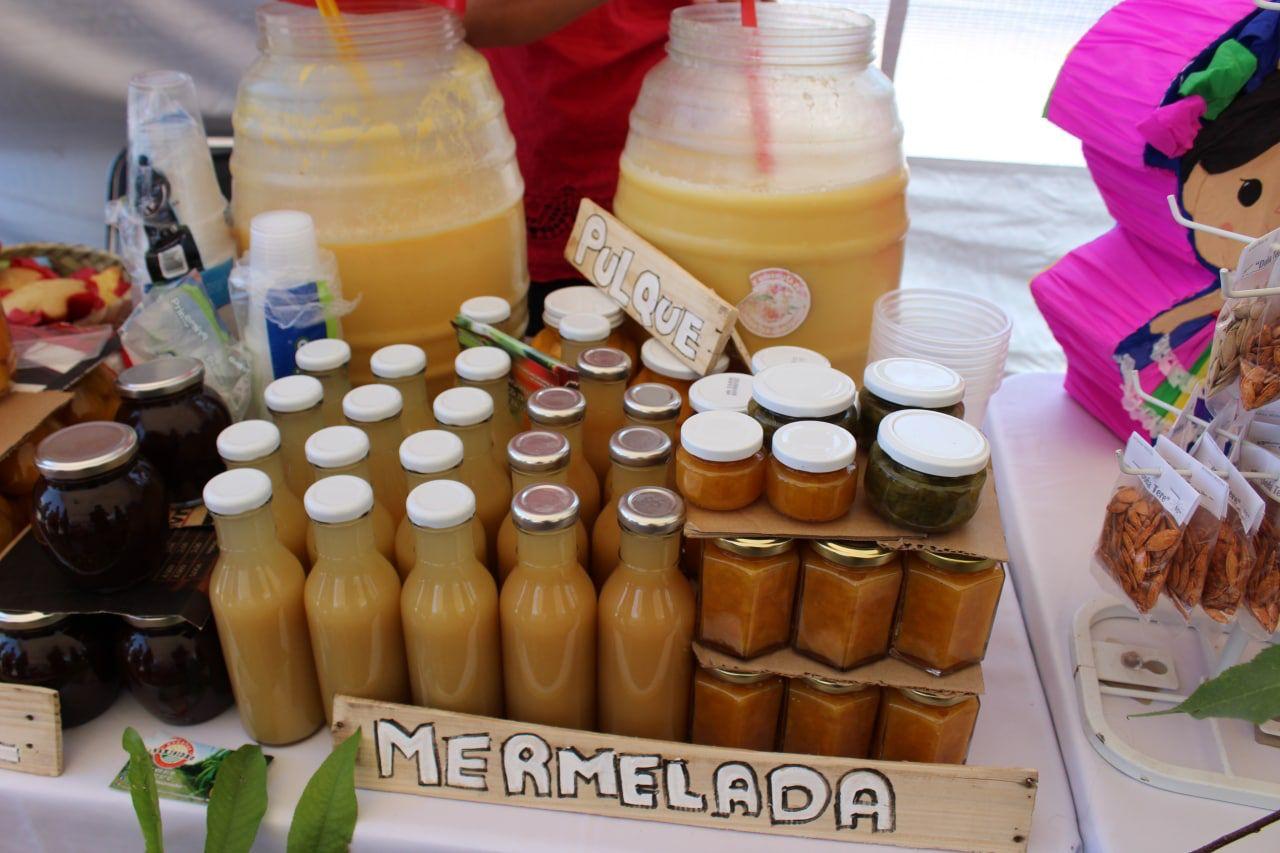 Apoyó Sedeco a 637 empresarios y emprendedores con registro de marca