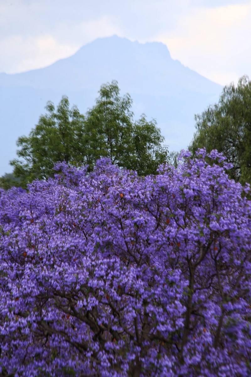 Postales de Tlaxcala 