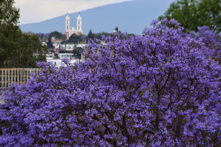 Postales de Tlaxcala 
