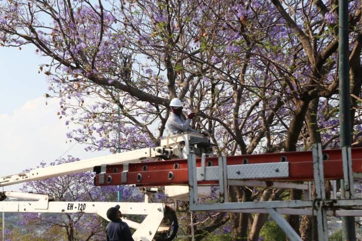 Cierran intermitentemente la avenida Puebla por trabajos de alumbrado 