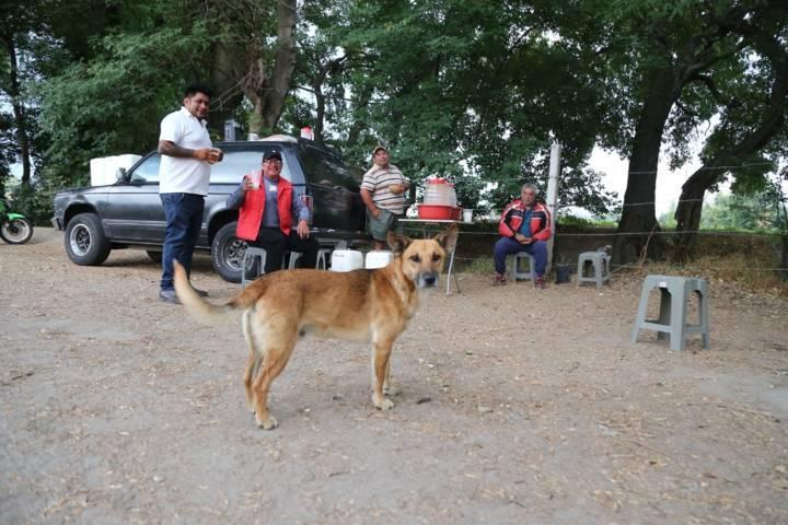 Prevalece el gusto por el pulque 