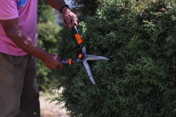 Constante la limpieza de áreas comunes en Apetatitlan para prevenir la delincuencia 