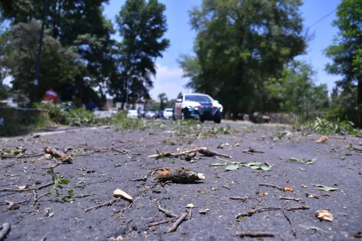 Constante la limpieza de áreas comunes en Apetatitlan para prevenir la delincuencia 