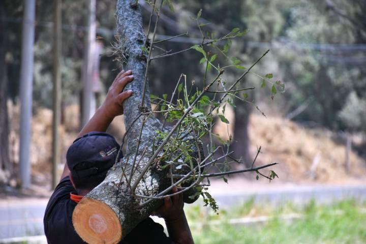 Constante la limpieza de áreas comunes en Apetatitlan para prevenir la delincuencia 