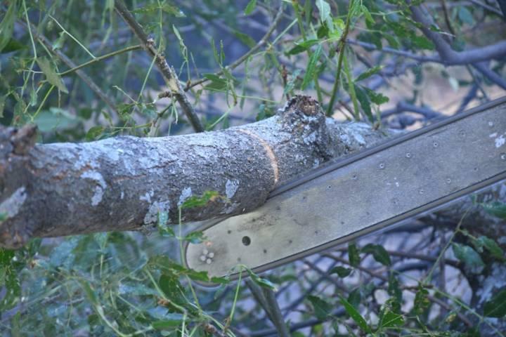 Constante la limpieza de áreas comunes en Apetatitlan para prevenir la delincuencia 