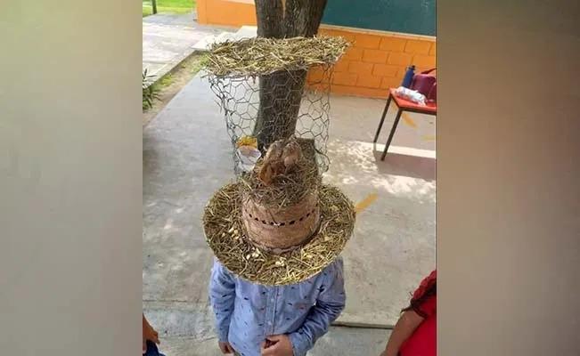 ¡Estilo ranchero! Una madre crea un sombrero loco con todo y pollito