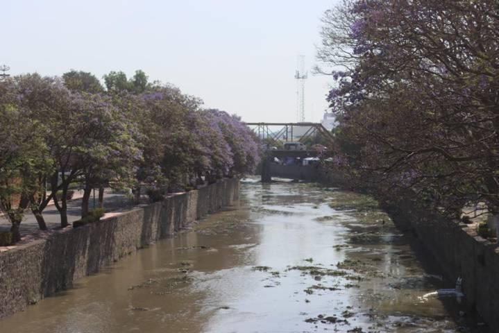 Adiós a la temporada más bonita de la ribereña 