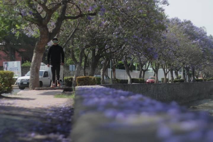 Adiós a la temporada más bonita de la ribereña 