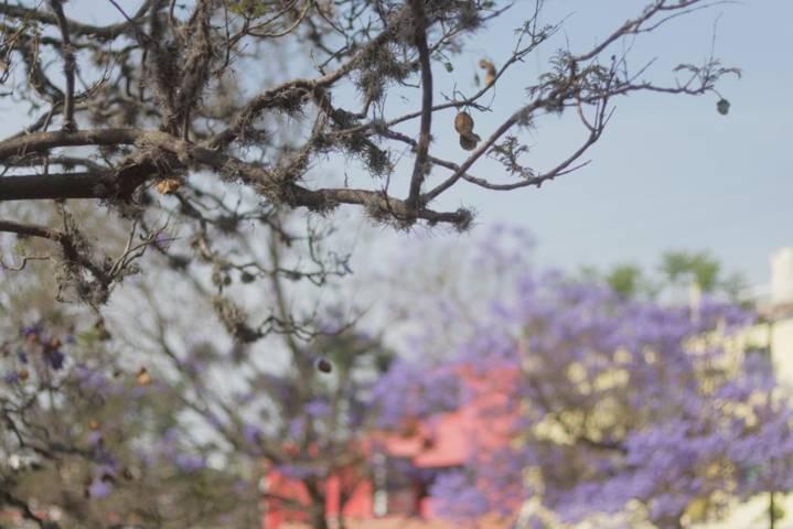 Adiós a la temporada más bonita de la ribereña 