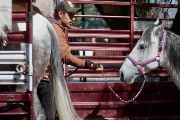 Se mantiene viva en Tlaxcala afición por la charrería 