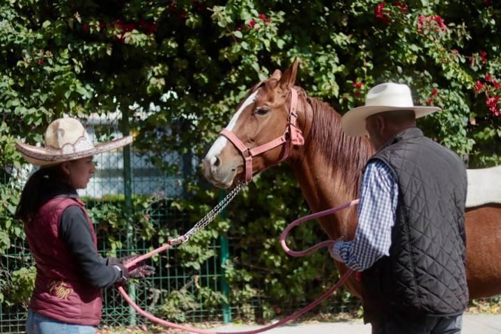 Se mantiene viva en Tlaxcala afición por la charrería 