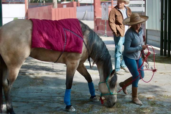Se mantiene viva en Tlaxcala afición por la charrería 