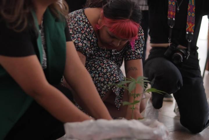 La CEDH realiza primer foro sobre el uso medicinal y recreativo de la marihuana 