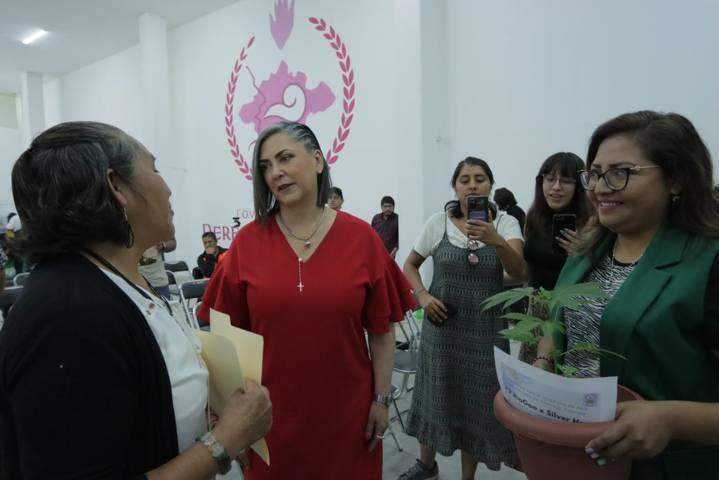 La CEDH realiza primer foro sobre el uso medicinal y recreativo de la marihuana 