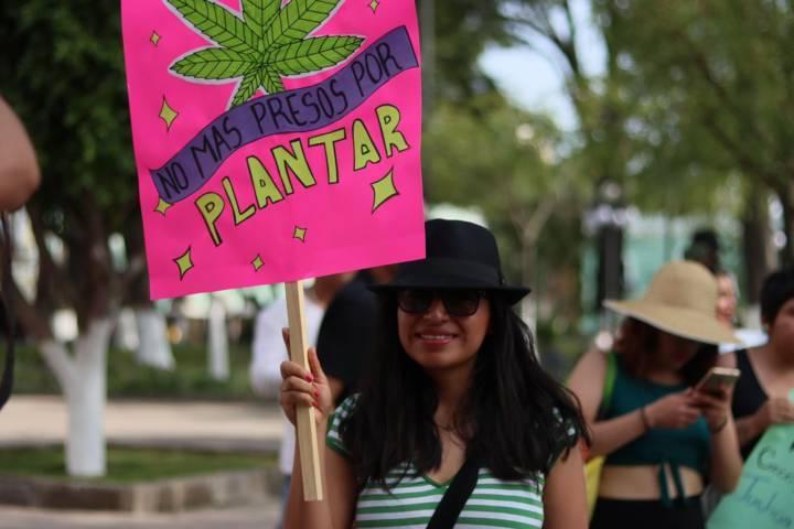 Marcha comunidad canabica de Tlaxcala para promover despenalización de la marihuana 