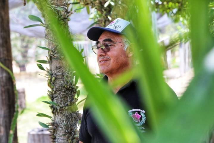 A la defensa de la orquídea tlaxcalteca 