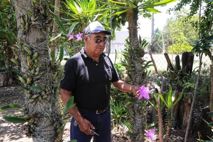A la defensa de la orquídea tlaxcalteca 
