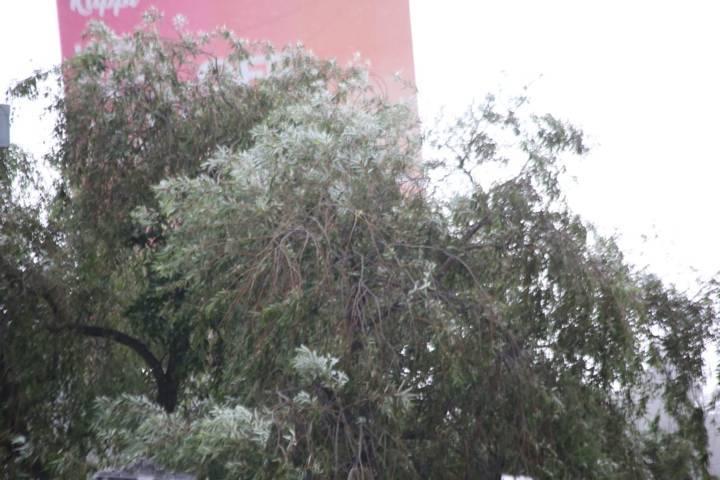Sorprende ligera lluvia a capitalinos 