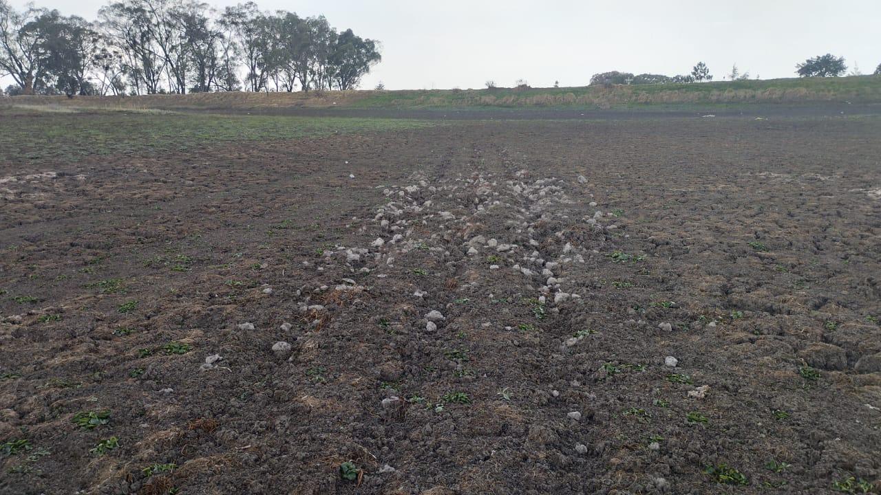 Se secan jagüey ante la falta de lluvias 
