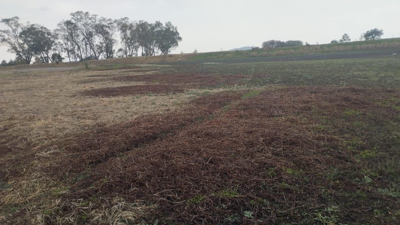 Se secan jagüey ante la falta de lluvias 