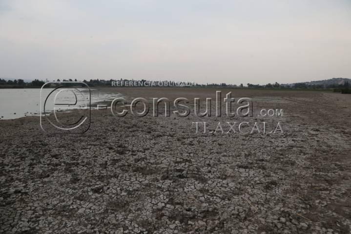 Continúa sequía de laguna de Acuitlapilco