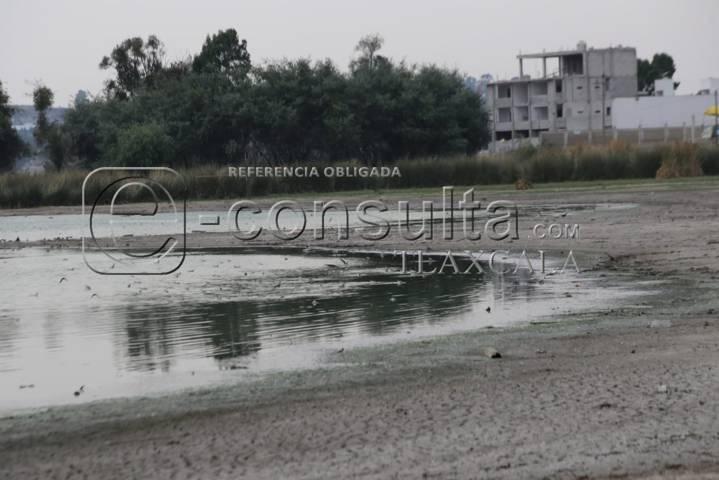 Continúa sequía de laguna de Acuitlapilco