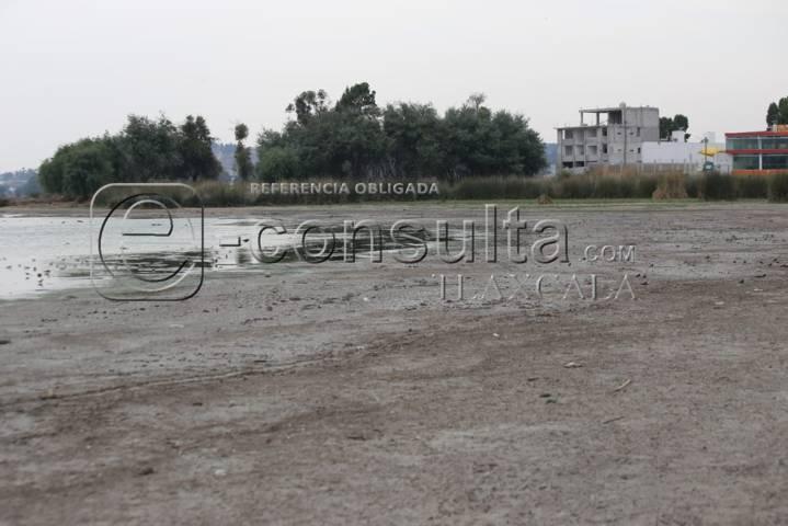 Continúa sequía de laguna de Acuitlapilco