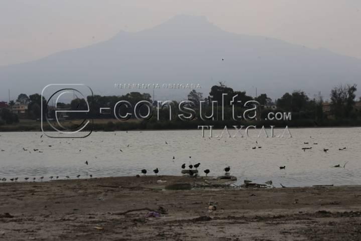 Continúa sequía de laguna de Acuitlapilco