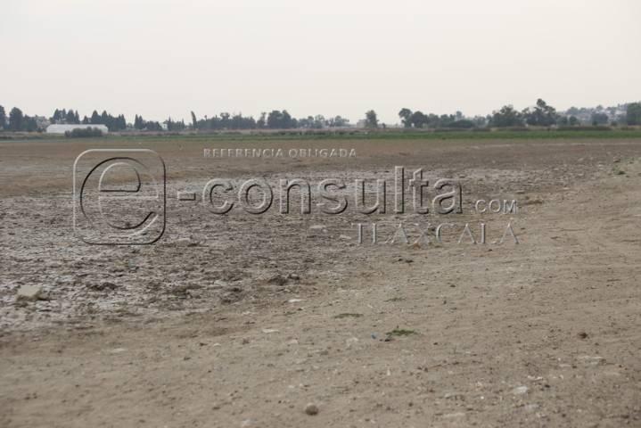 Continúa sequía de laguna de Acuitlapilco