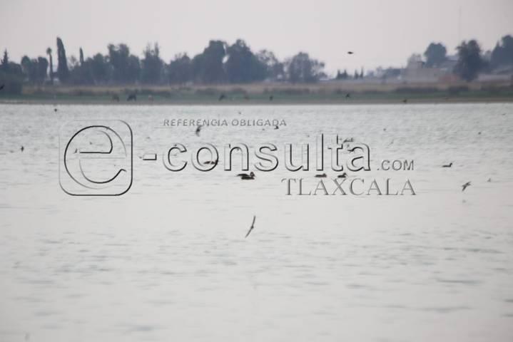 Continúa sequía de laguna de Acuitlapilco