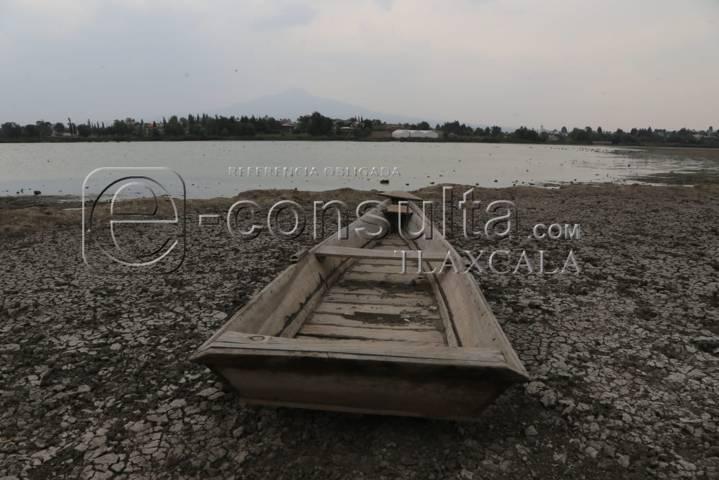 Continúa sequía de laguna de Acuitlapilco