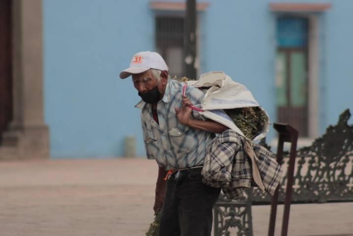 Persona de la tercera edad sobrevive vendiendo hierbas para remedios 