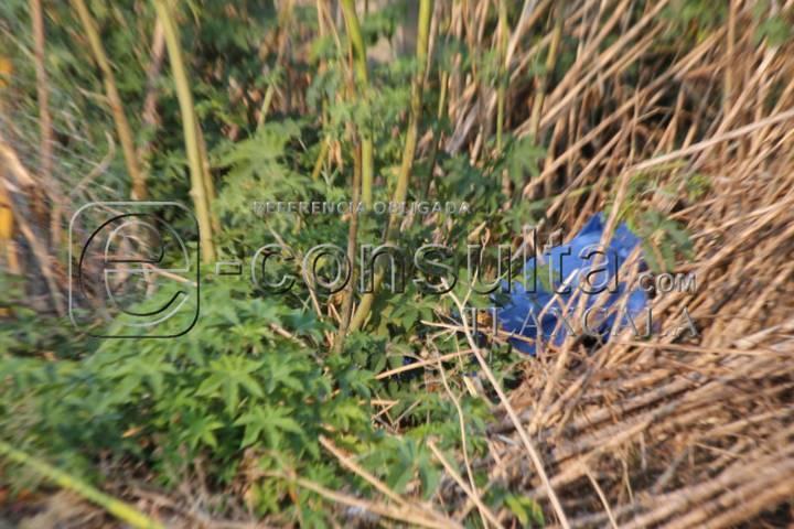 Fallece masculino atropellado sobre la carretera Texmelucan-Tlaxcala