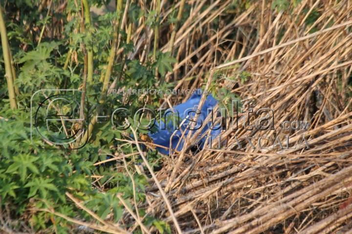 Fallece masculino atropellado sobre la carretera Texmelucan-Tlaxcala