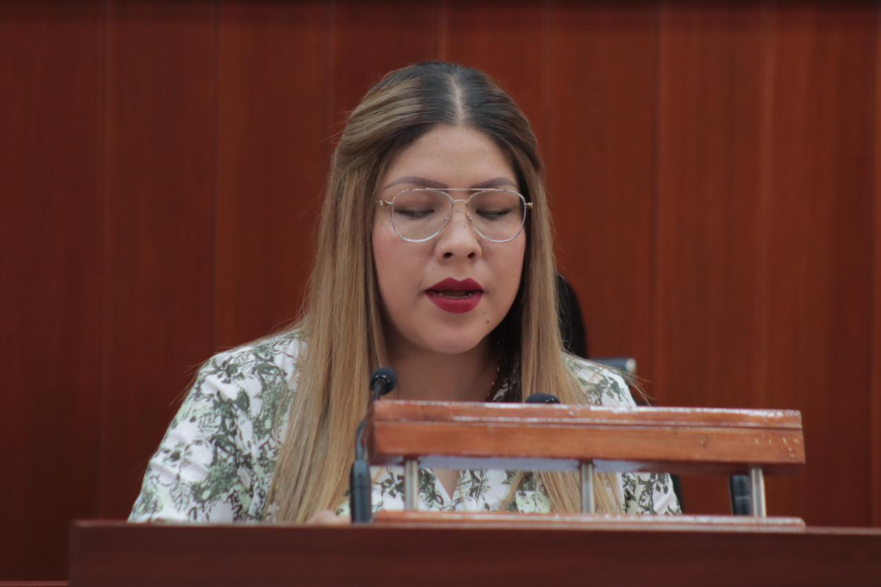 Presentan iniciativa en el Congreso para regular parquímetros y estacionamientos en Tlaxcala