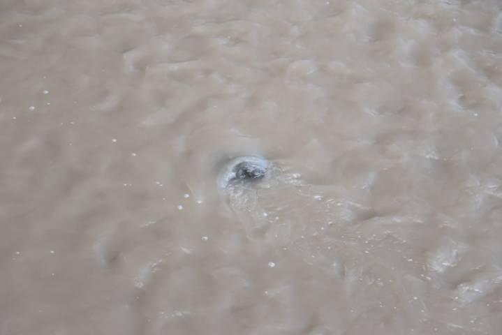 ¡A sacar las sombrillas! Probabilidad de lluvia para esta tarde 