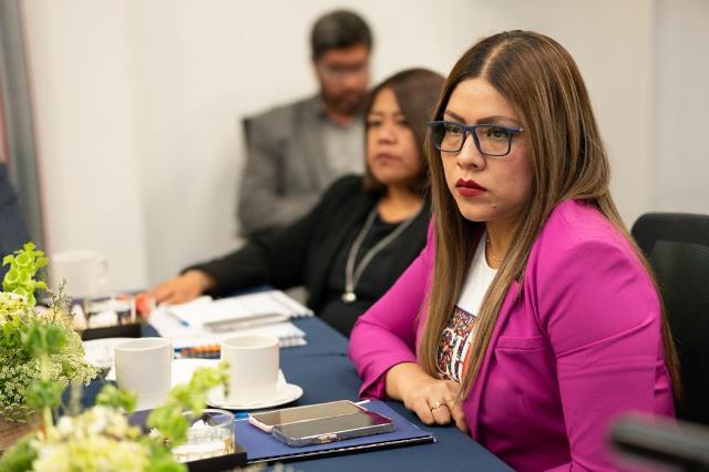 Garantizar atención en materia de violencia de género, debe ser prioridad”: MSA