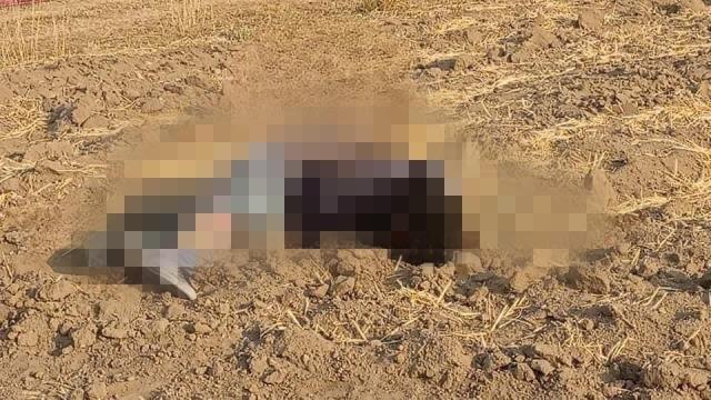 Localizan cadáver en terrenos de labor de Tenancingo; presenta huellas de violencia