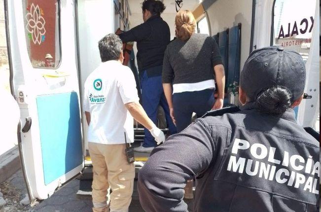 Perros callejeros de San Pablo del Monte provocan accidente 
