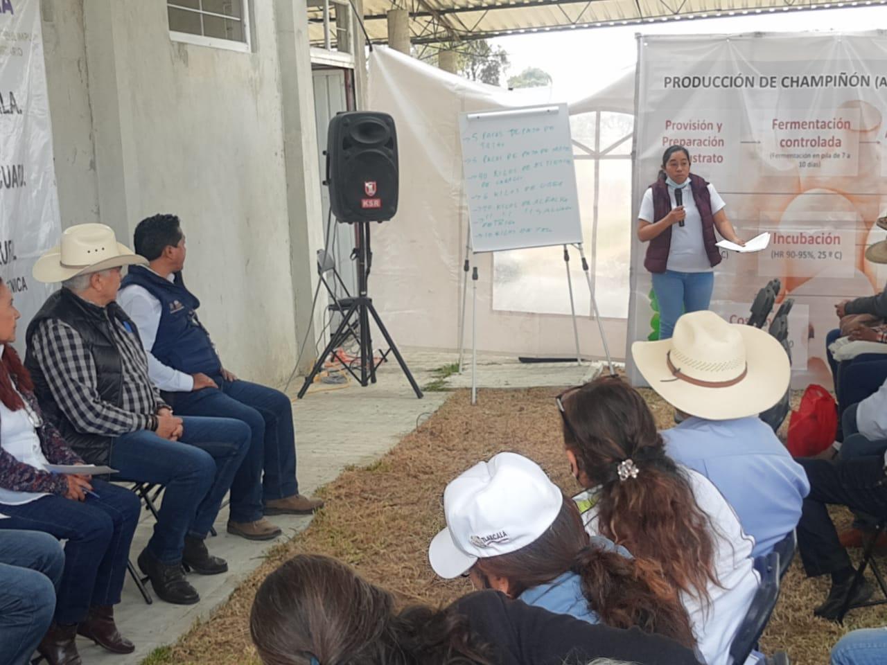 Realiza SIA capacitación para la producción de hongos comestibles