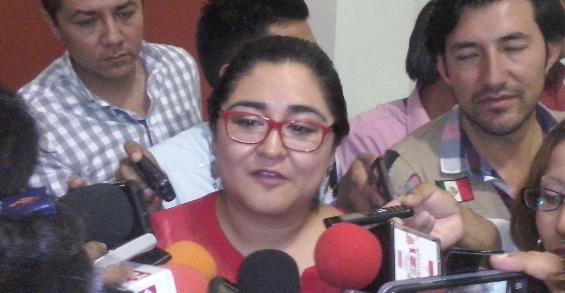 Por sembradío de amapola, descarta Segob presencia del crimen organizado