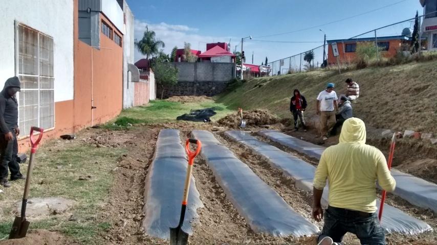 Abren a Taller de Agricultura Urbana en instalaciones del DIF capitalino