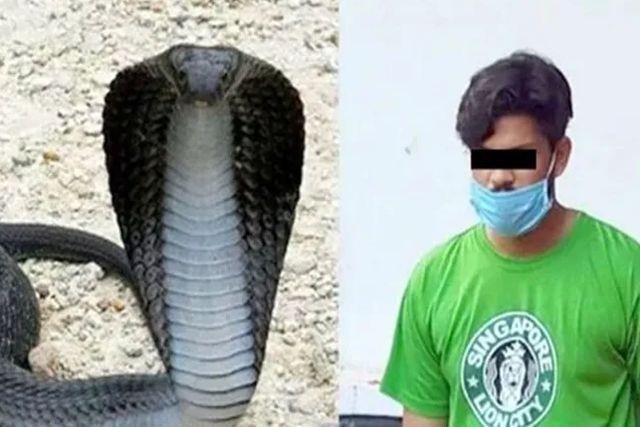 Esposo simula que su mujer fue picada por una víbora