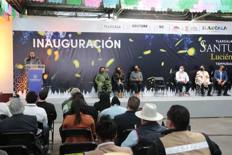 Inauguran temporada de luciérnagas 2022 en Nanacamilpa