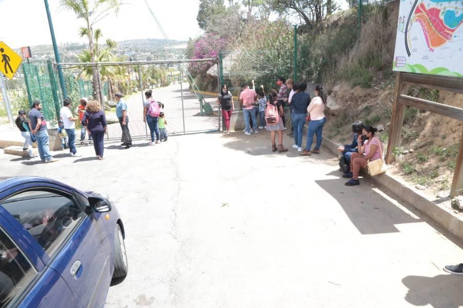 Roban guacamaya del Zoológico del Altiplano 