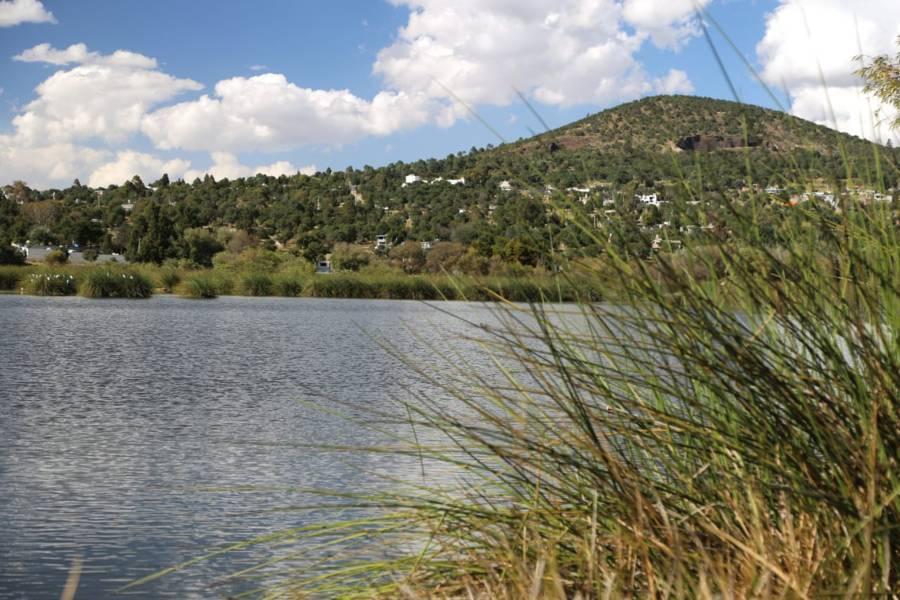 La presa "El Ojito" en Apizaquito