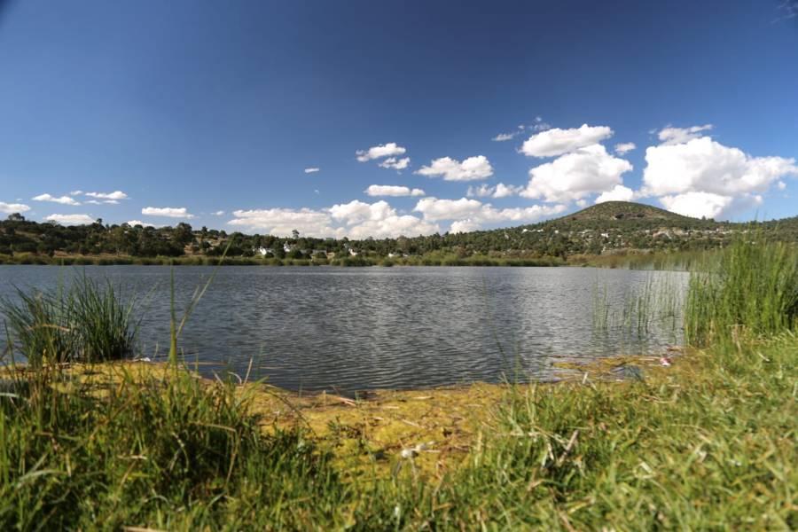 La presa "El Ojito" en Apizaquito