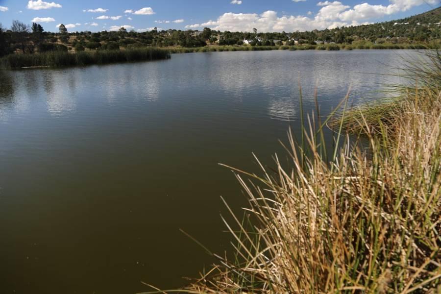 La presa "El Ojito" en Apizaquito
